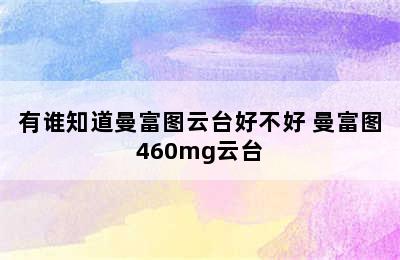 有谁知道曼富图云台好不好 曼富图460mg云台